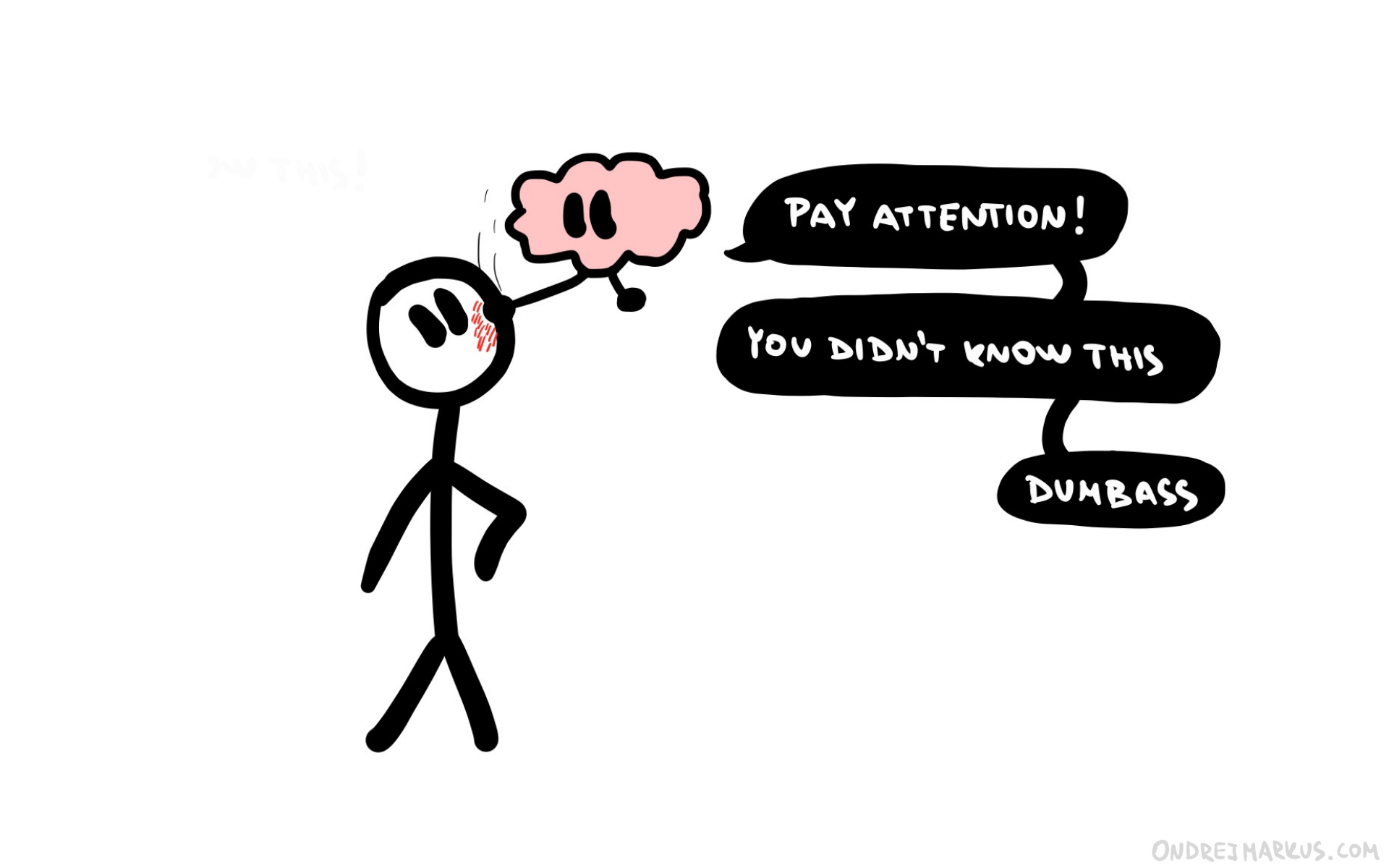 Surprise is a learning slap from your brain.